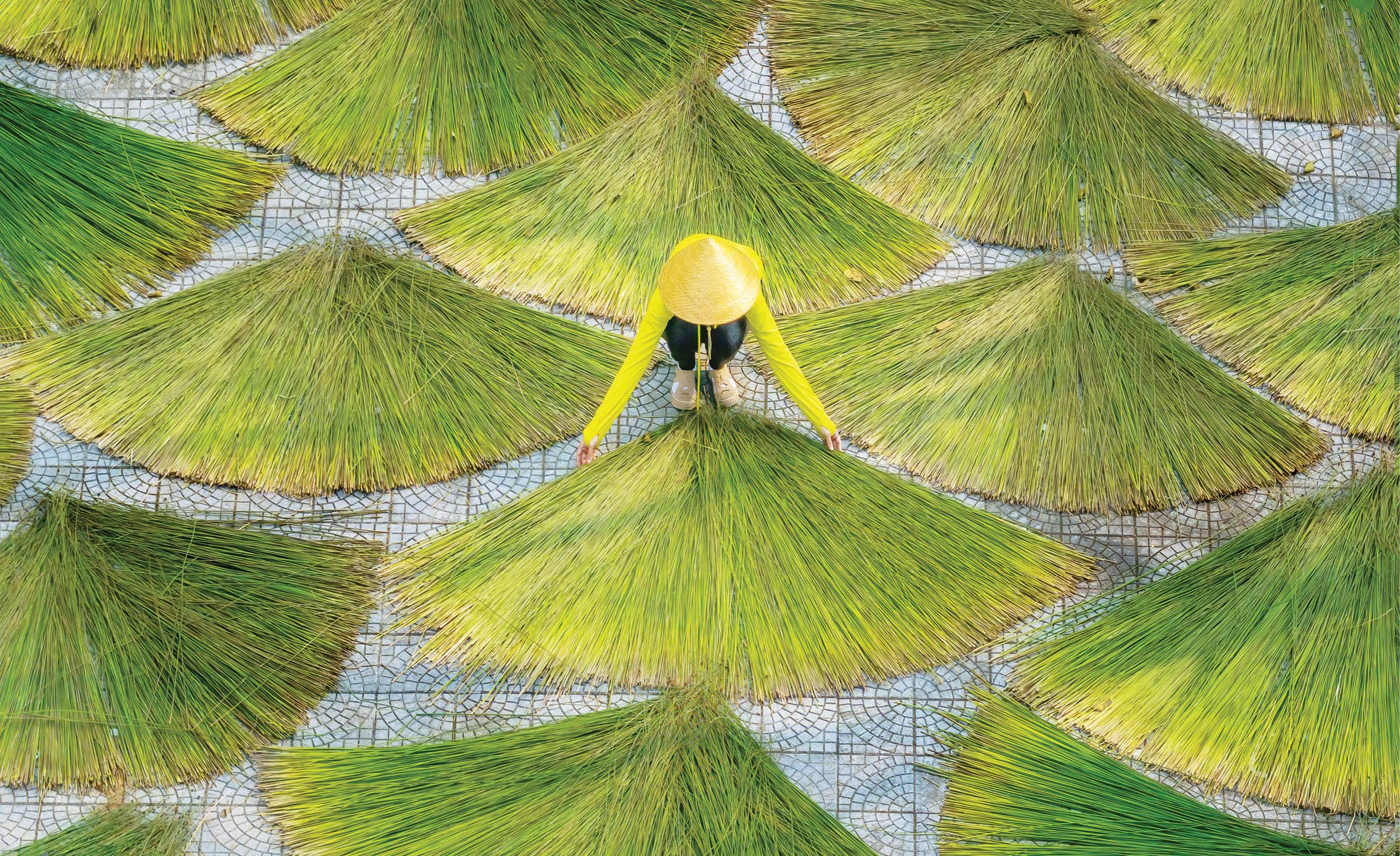 Hương xưa trong nắng mới