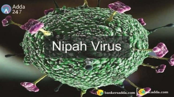 Ấn Độ xác nhận 2 trường hợp mới nhiễm virus Nipah