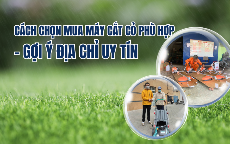 Cách chọn mua máy cắt cỏ phù hợp - Địa chỉ uy tín
