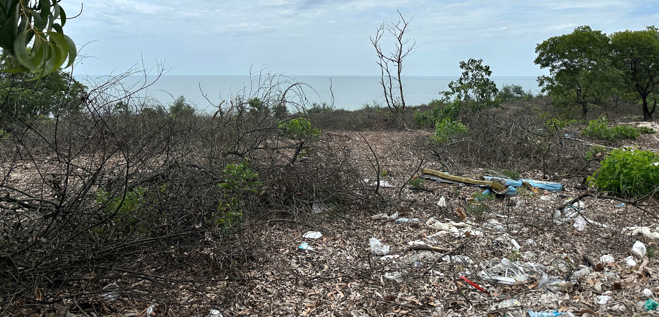 Cơ quan chức năng đang điều tra làm rõ