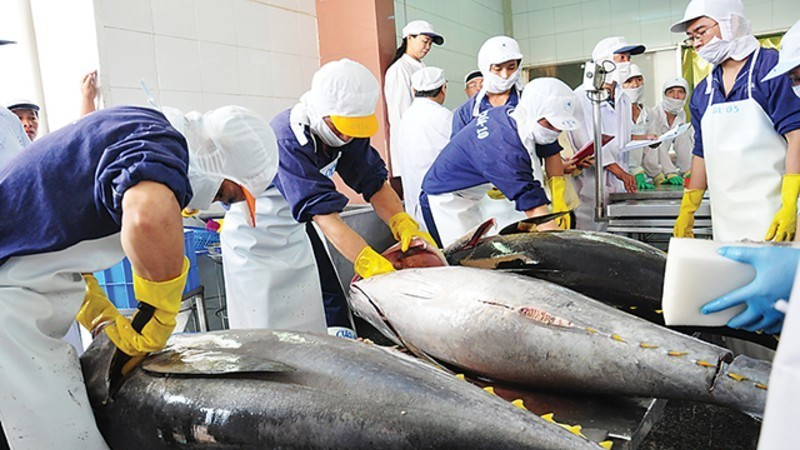 Quyết liệt gỡ “thẻ vàng” IUU