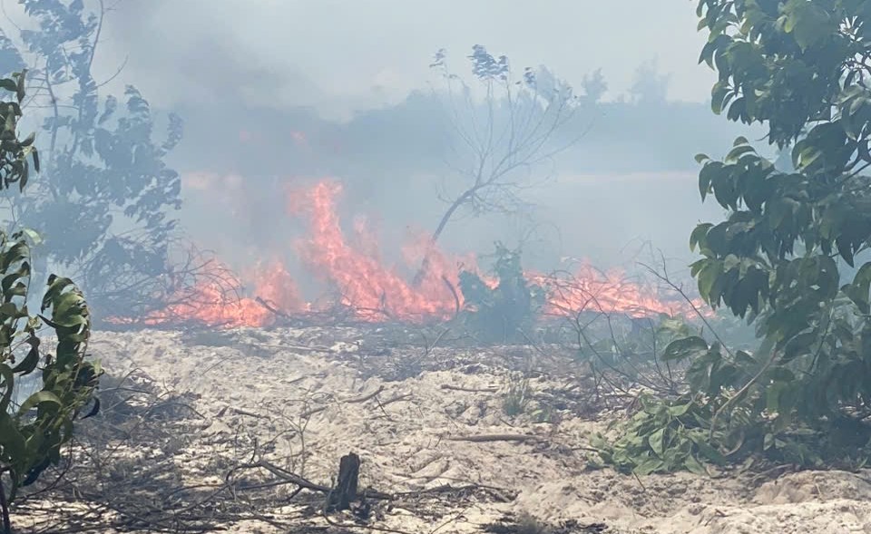 Lãnh đạo thành phố chỉ đạo khắc phục nhanh vụ cháy rừng trồng ở Phong Phú