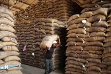 Dư cung, cầu yếu kéo giá gạo Ấn Độ xuống mức thấp nhất hơn 2 năm