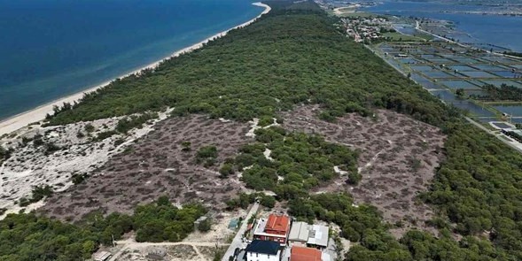 Kỷ luật khiển trách một kiểm lâm, chuyển hồ sơ qua cơ quan công an