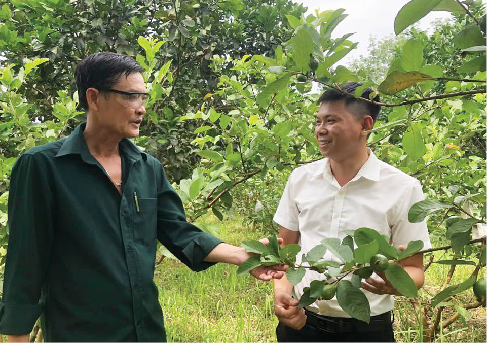 Yêu đất, mê cây