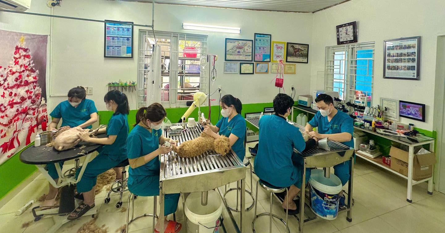 Dịch vụ y tế và spa thú cưng