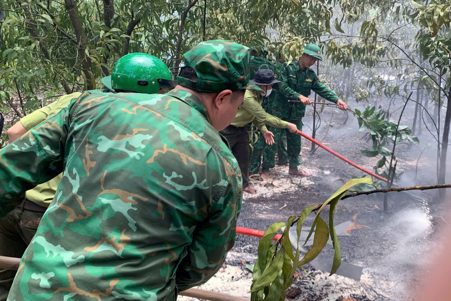 Dập tắt cháy rừng tại xã Phú Vinh