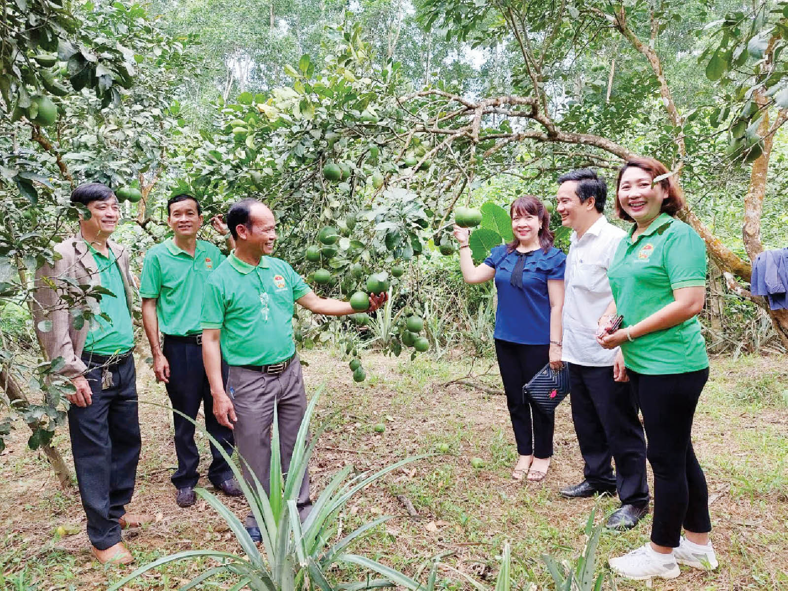 Kiện toàn tổ chức, bộ máy phù hợp với yêu cầu mới