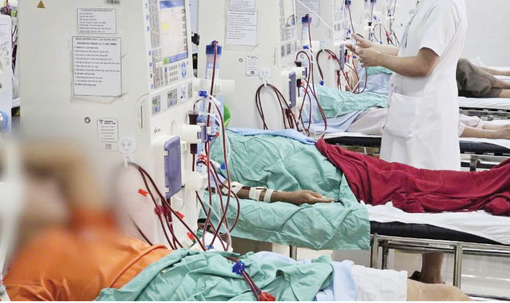 Suy thận ở người trẻ Cái giá từ những thói quen tưởng vô hại