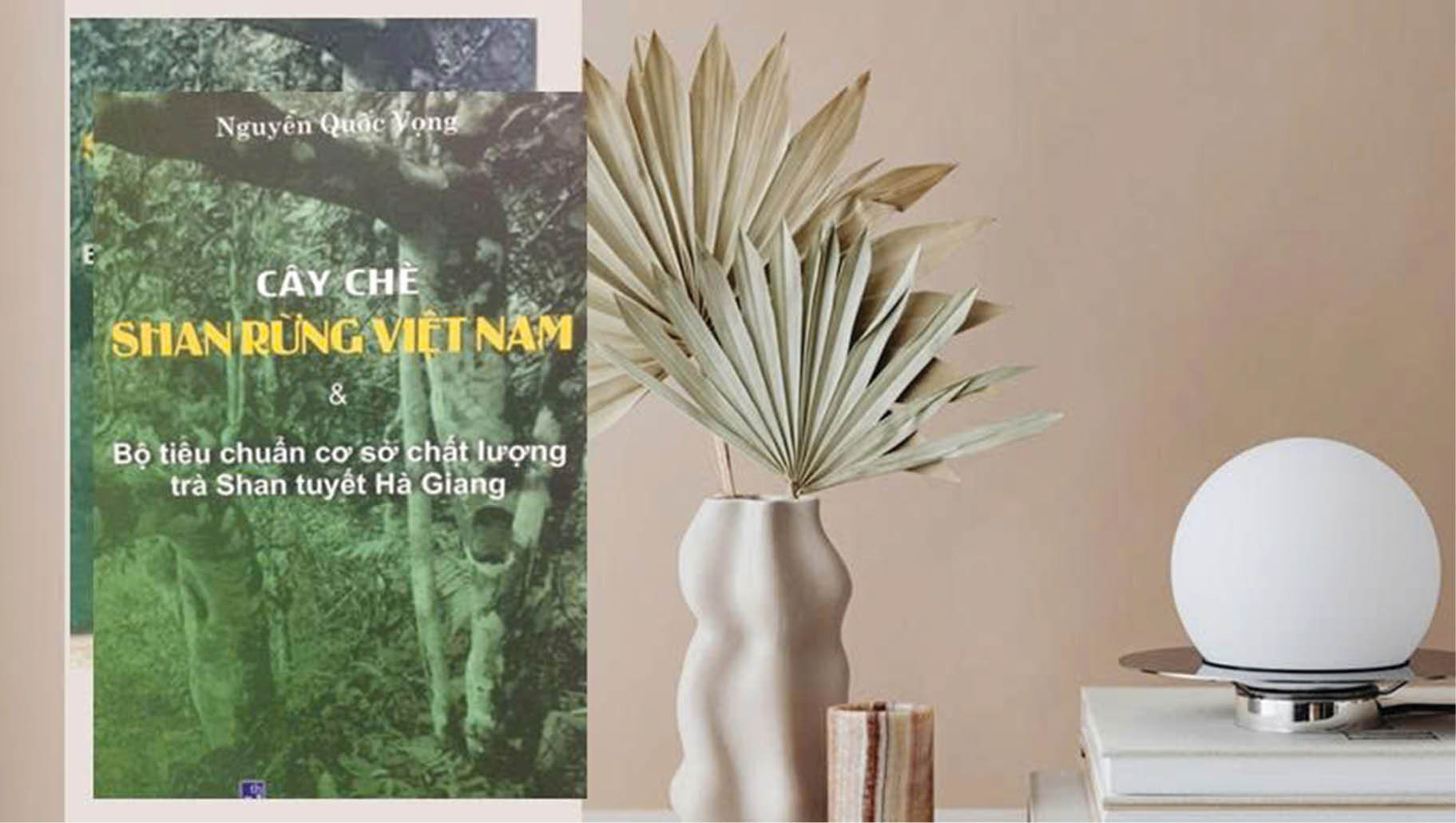 Huế mình nhiều nơi có chè Shan