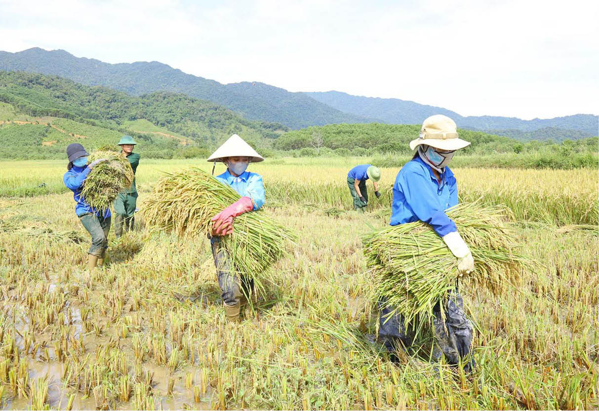 Trưởng thành nơi biên cương