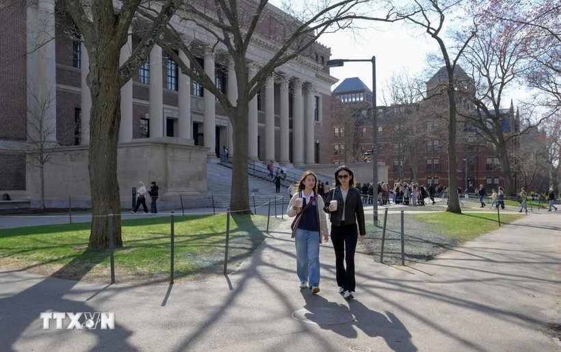 Mỹ mạnh tay hủy hơn 6 000 thị thực du học sinh