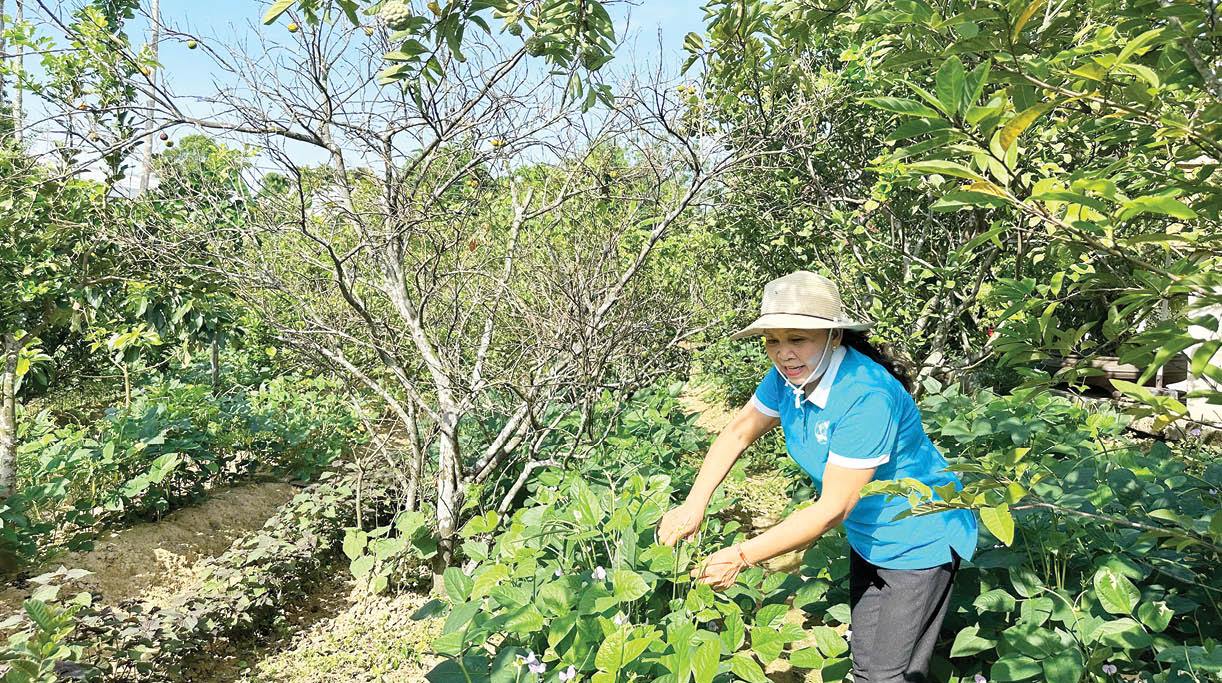 Tận dụng từng tấc đất