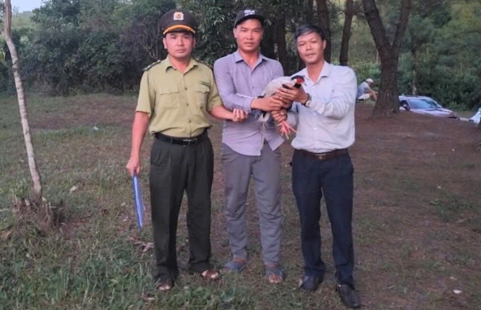 Lần đầu tiên UBND cấp xã tiếp nhận cá thể động vật rừng quý hiếm