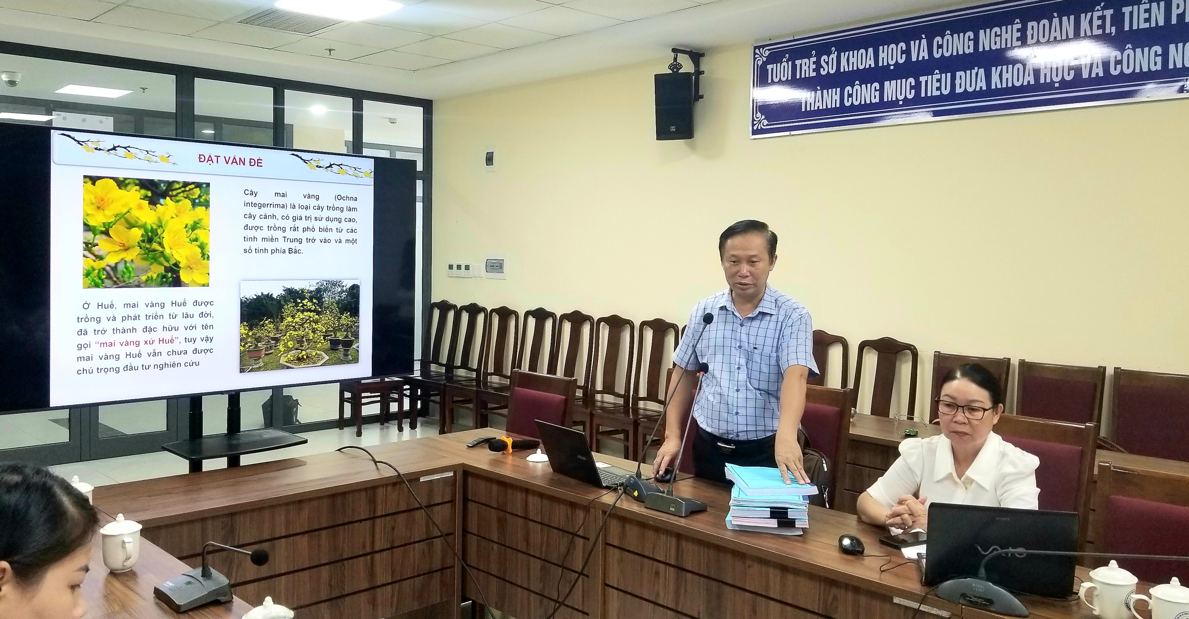 Nghiên cứu bảo tồn và phát triển giống mai vàng Huế