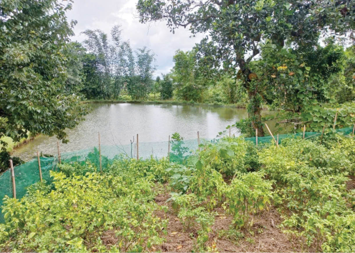 Vươn lên từ nghèo khó