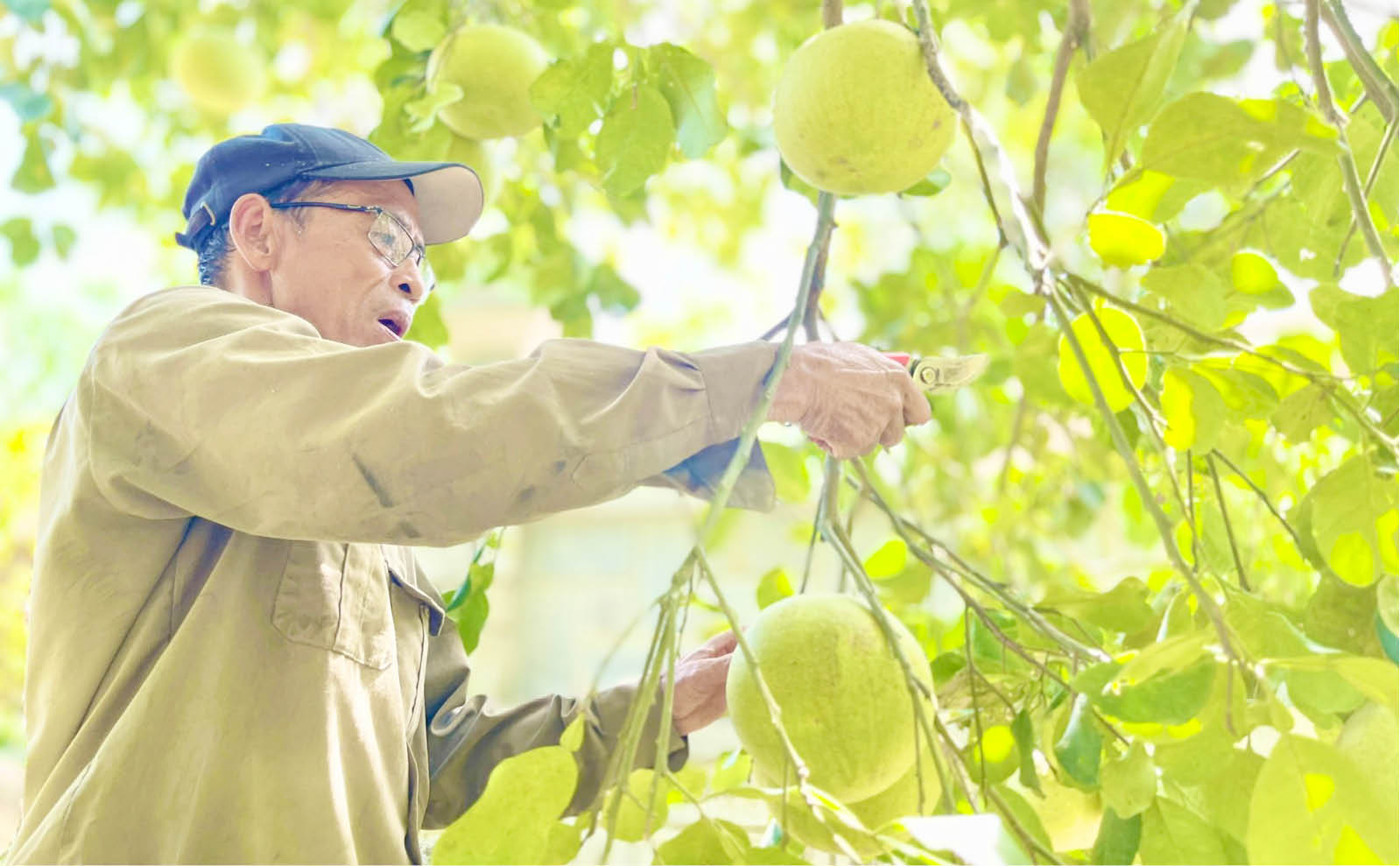 Để nông nghiệp vượt qua ngưỡng chững lại