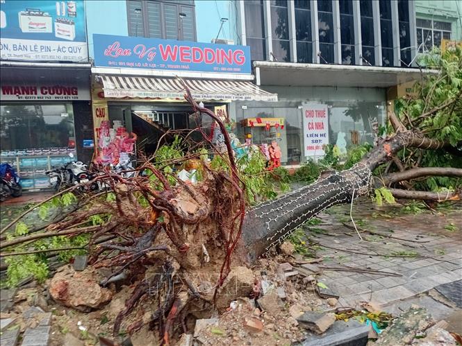 Bão số 5 55 người thương vong và mất tích​; mưa lớn gây ngập, thiệt hại 92 226 ha lúa