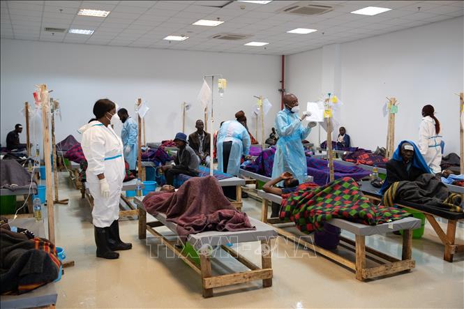 Châu Phi khởi động kế hoạch ứng phó dịch tả toàn lục địa