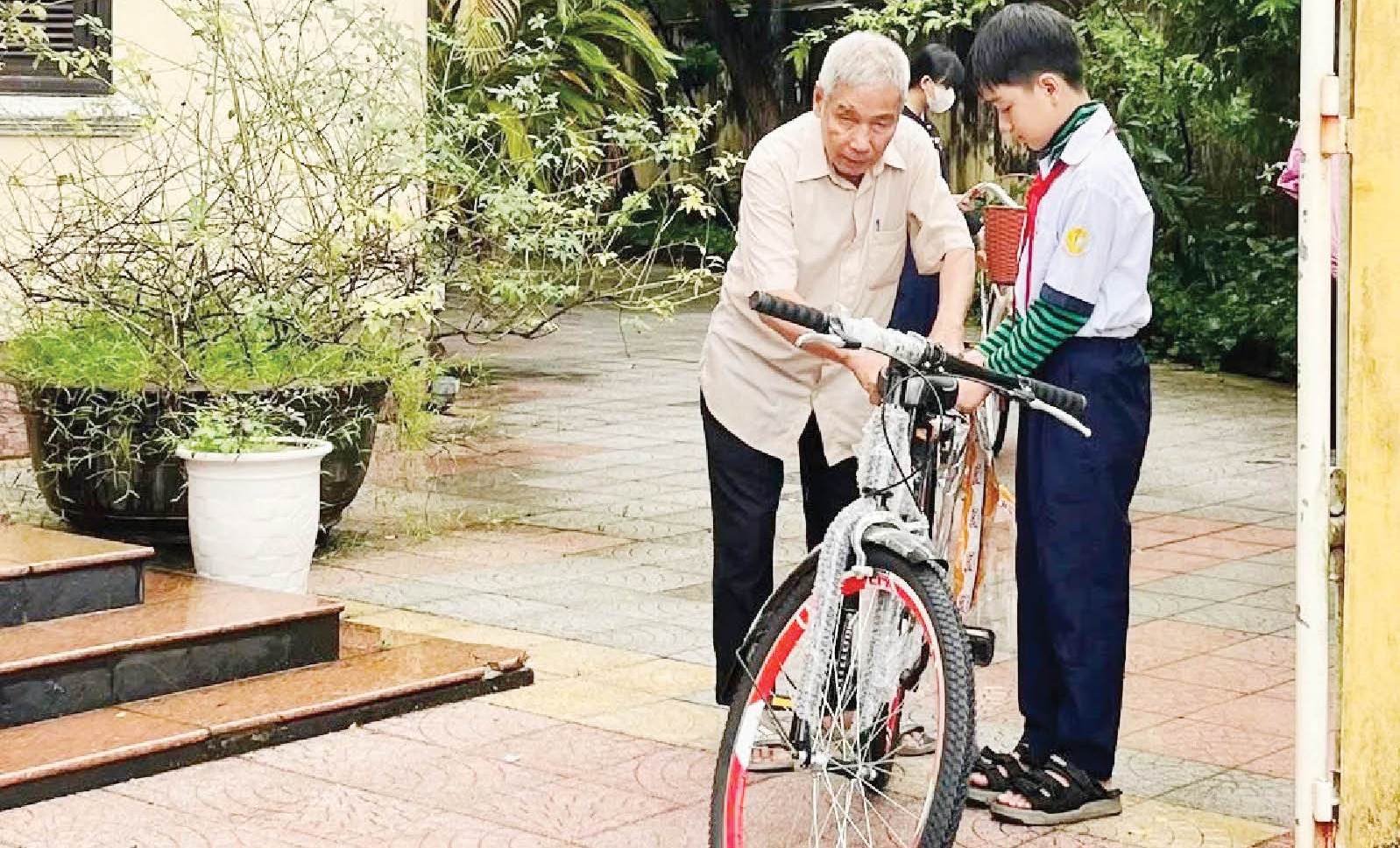 Hướng dương đón nắng