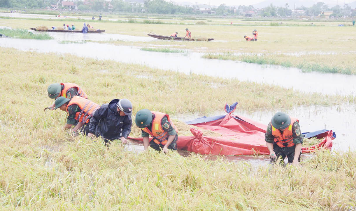 Viết tiếp chiến công của Đoàn Phú Xuân anh hùng