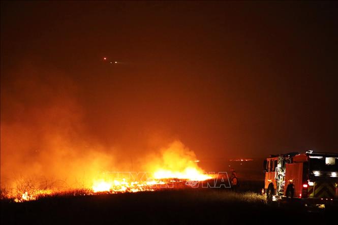 Mỹ Cháy rừng tàn phá thị trấn lịch sử thời Cơn sốt vàng