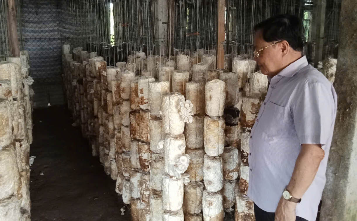 Khi người cao tuổi làm kinh tế xanh