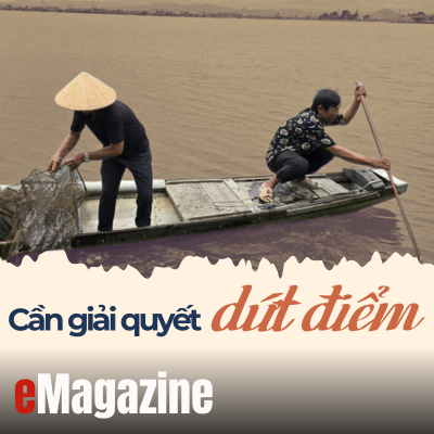 Người dân khu định cư Bàu Hạ Hơn 30 năm vẫn chưa có “sổ đỏ” - Kỳ 2 Cần giải quyết dứt điểm