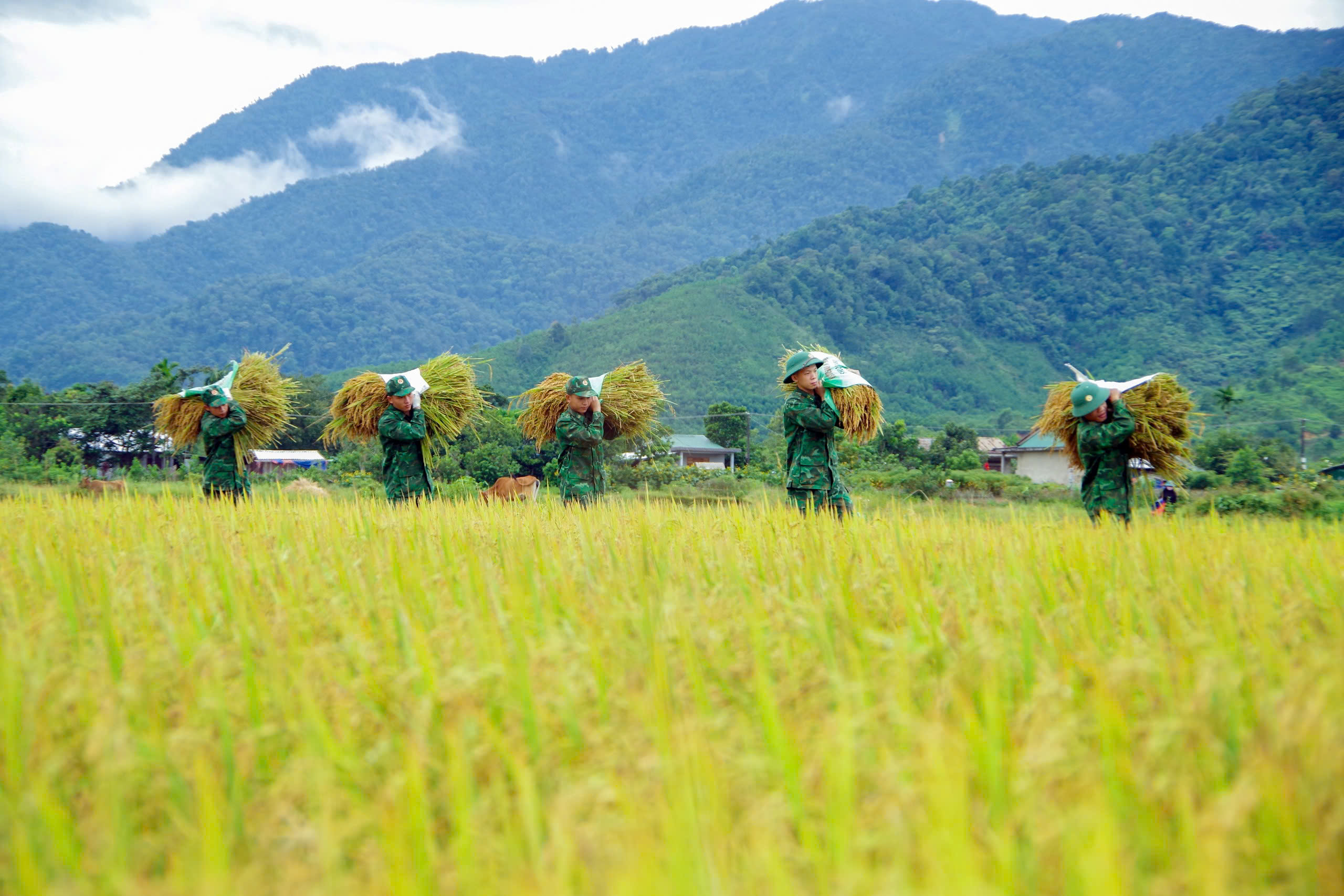 Xây dựng thế trận biên phòng toàn dân vững chắc