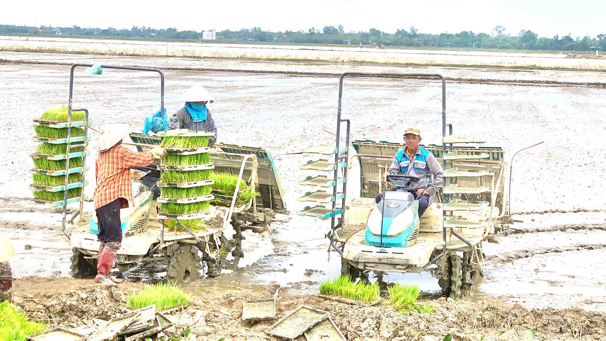 Nông dân sản xuất, kinh doanh giỏi ở Phú Gia