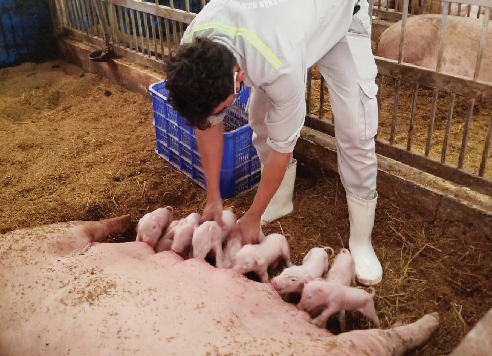 Thúc đẩy nông nghiệp hữu cơ, kinh tế tuần hoàn