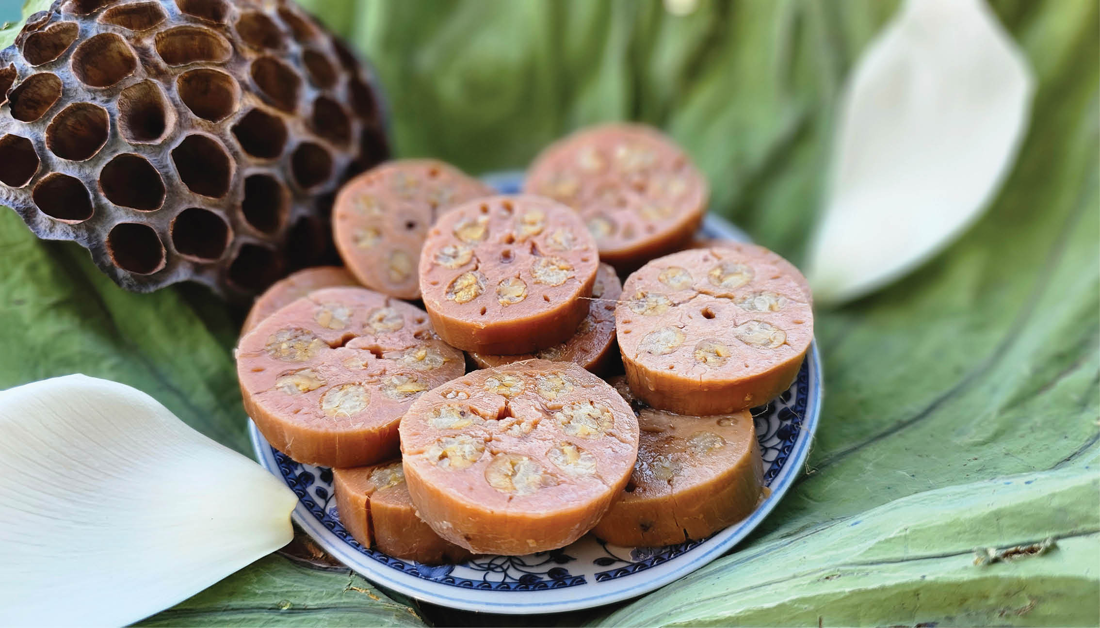 Hương sen gọi ký ức trăm năm