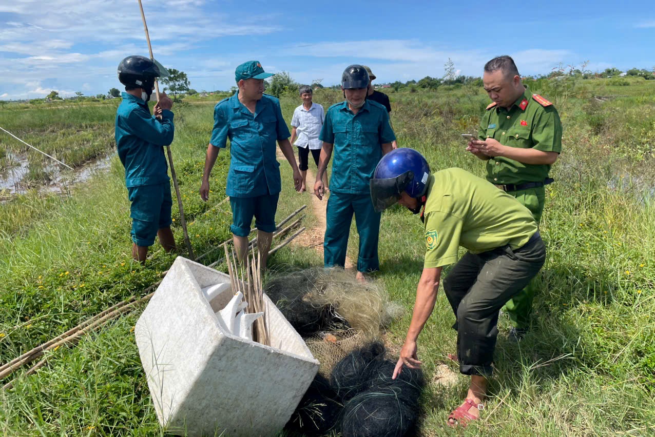 Kim Trà Xử lý tình trạng bẫy, bắt chim trời