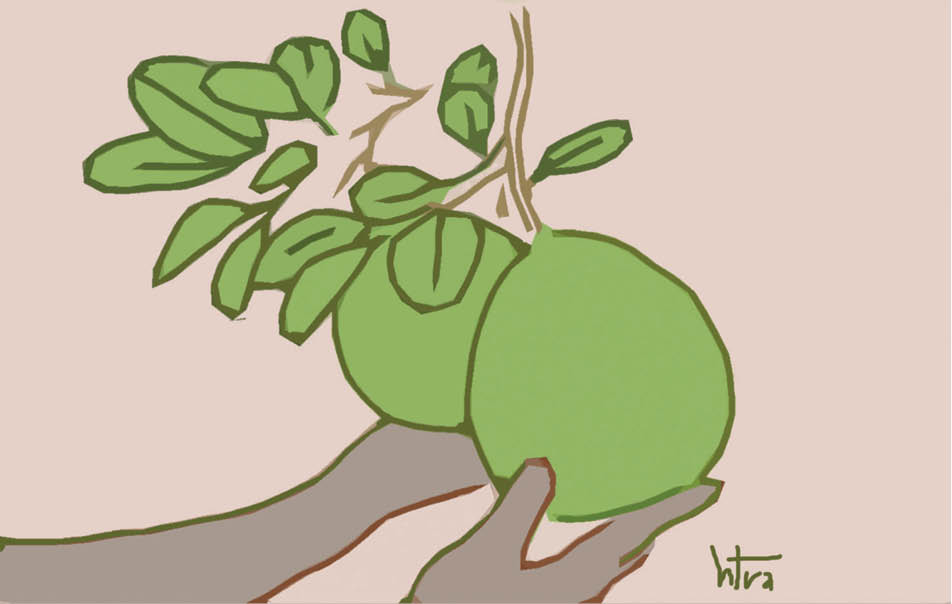 Đóng gói mùa thu Huế