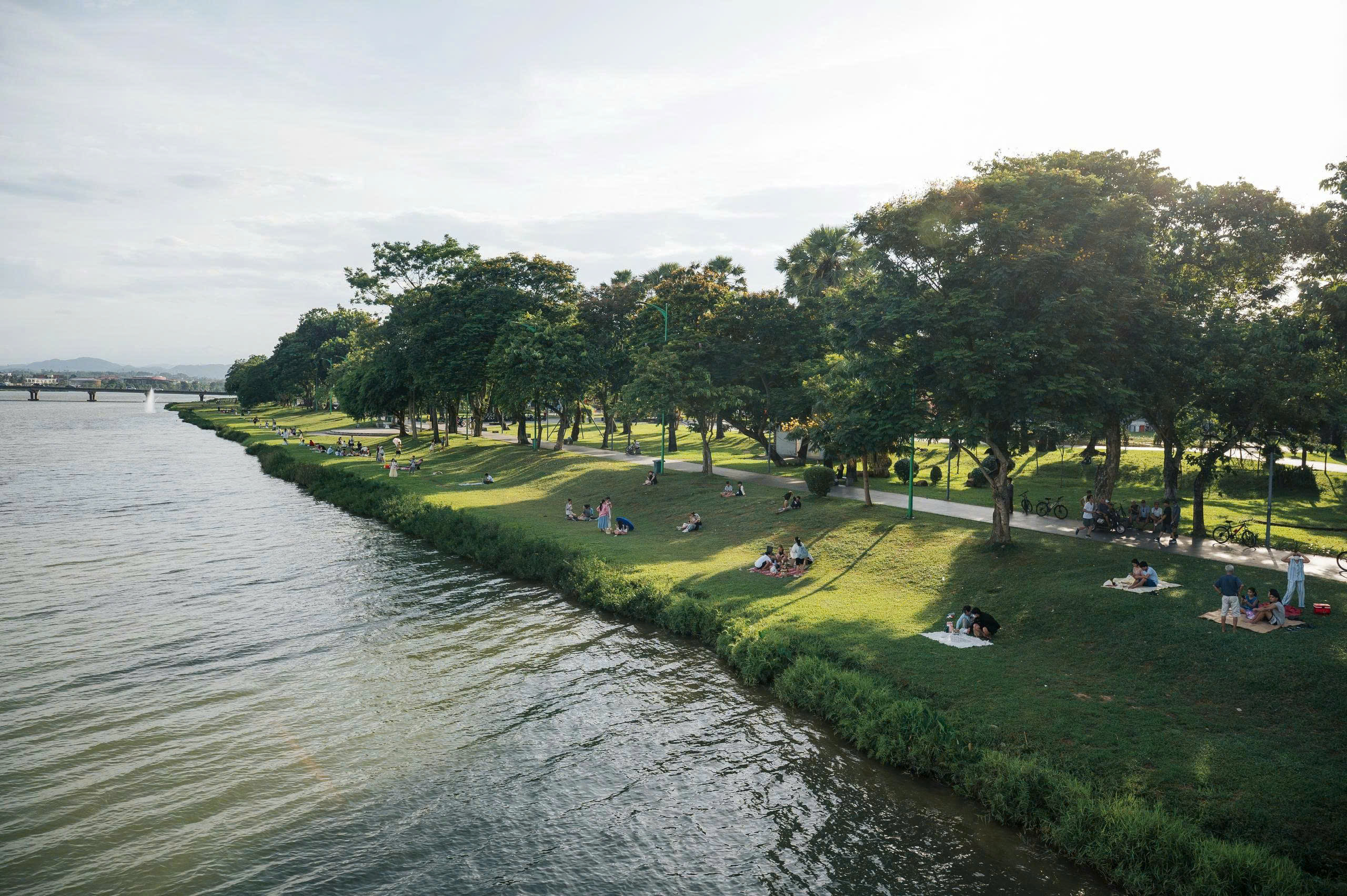 “Mệnh lệnh” từ cỏ xanh