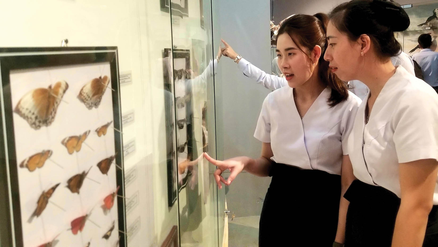 Phục hồi, phát triển hệ sinh thái tự nhiên từ ứng dụng khoa học công nghệ