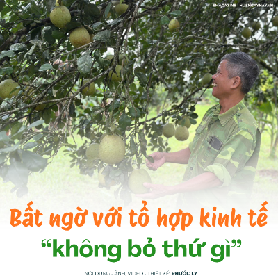 Bất ngờ với tổ hợp kinh tế “không bỏ thứ gì”