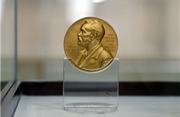 NOBEL 2025 Công trình Vật lý nào sẽ chạm ngõ vinh quang