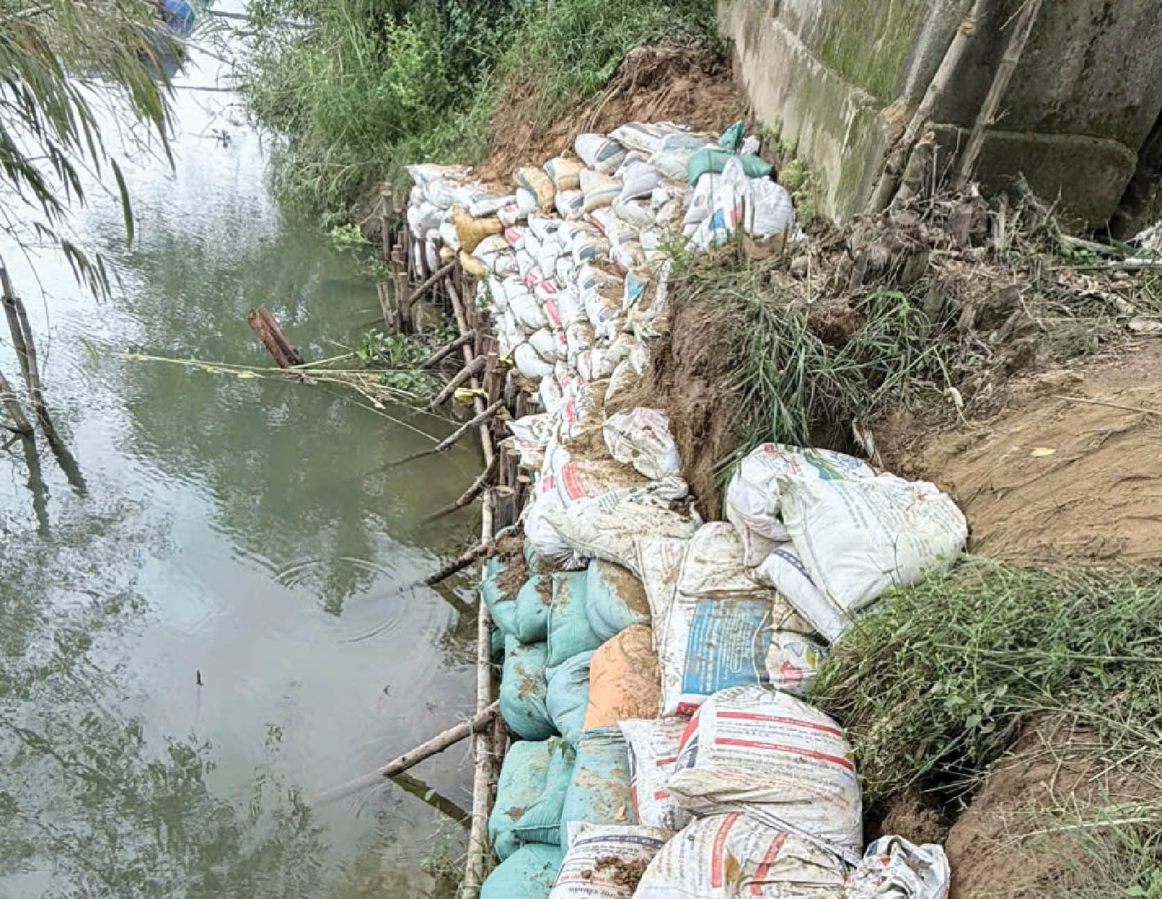 Sông Bồ sạt lở, dân ở bất an