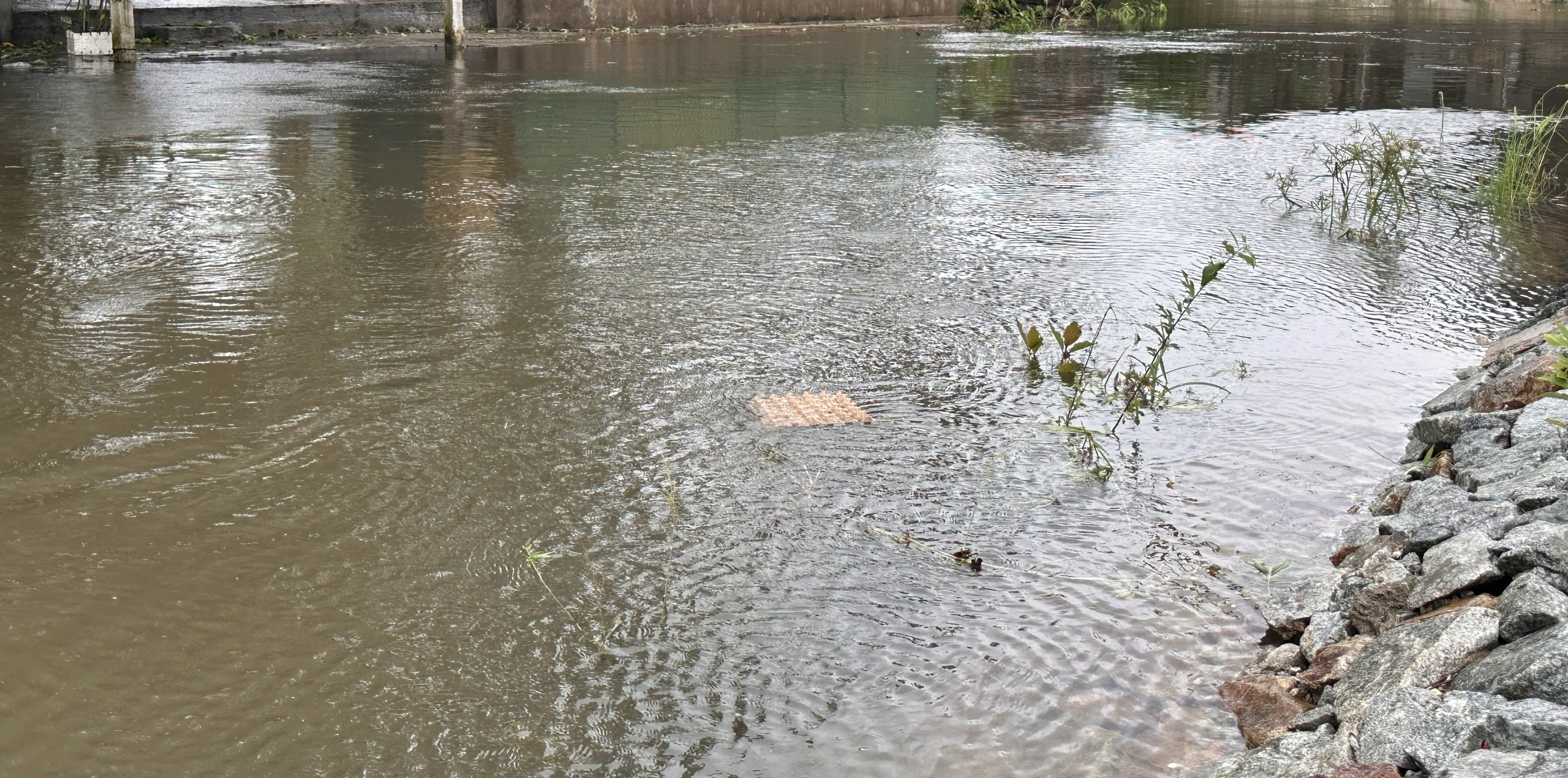 Chủ động ứng phó với mưa lớn trên địa bàn