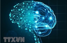 Phát triển vải thông minh biến trang phục thành trợ lý AI