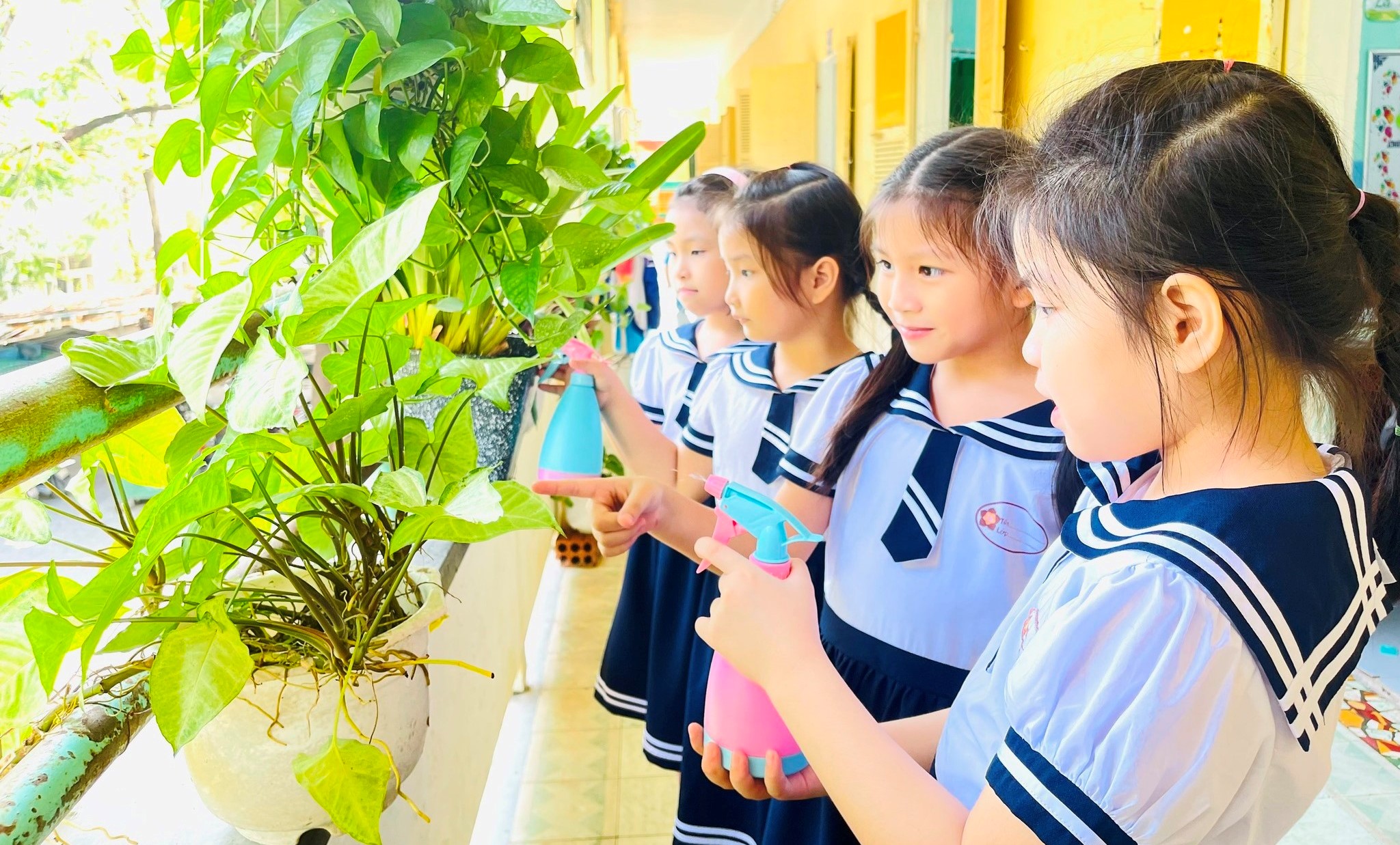 Xây dựng trường học không rác thải nhựa