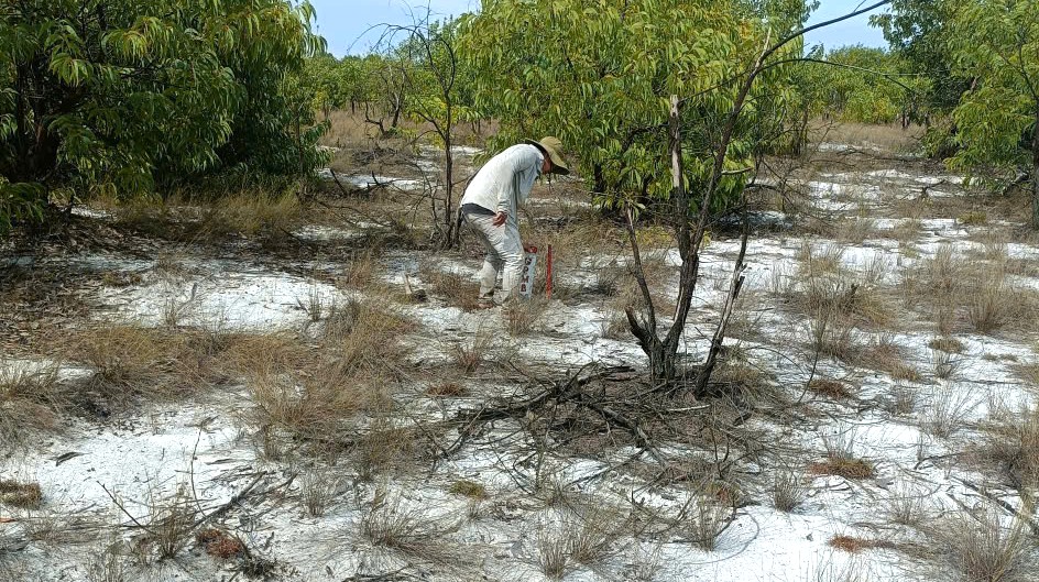 Hoàn thành việc cắm mốc phục vụ giải phóng mặt bằng dự án đường sắt tốc độ cao Bắc - Nam