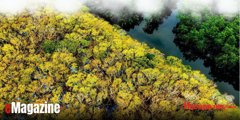 Chuyện vợ chồng của Rú Chá