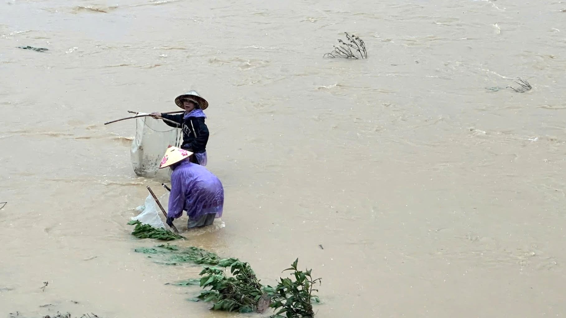 Đừng để đuối nước trong lũ do chủ quan