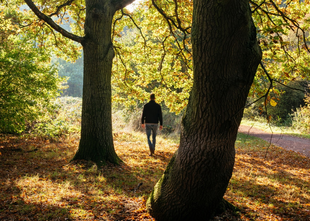 Nepal dẫn đầu, Anh tụt hạng trong bảng xếp hạng gắn kết với thiên nhiên