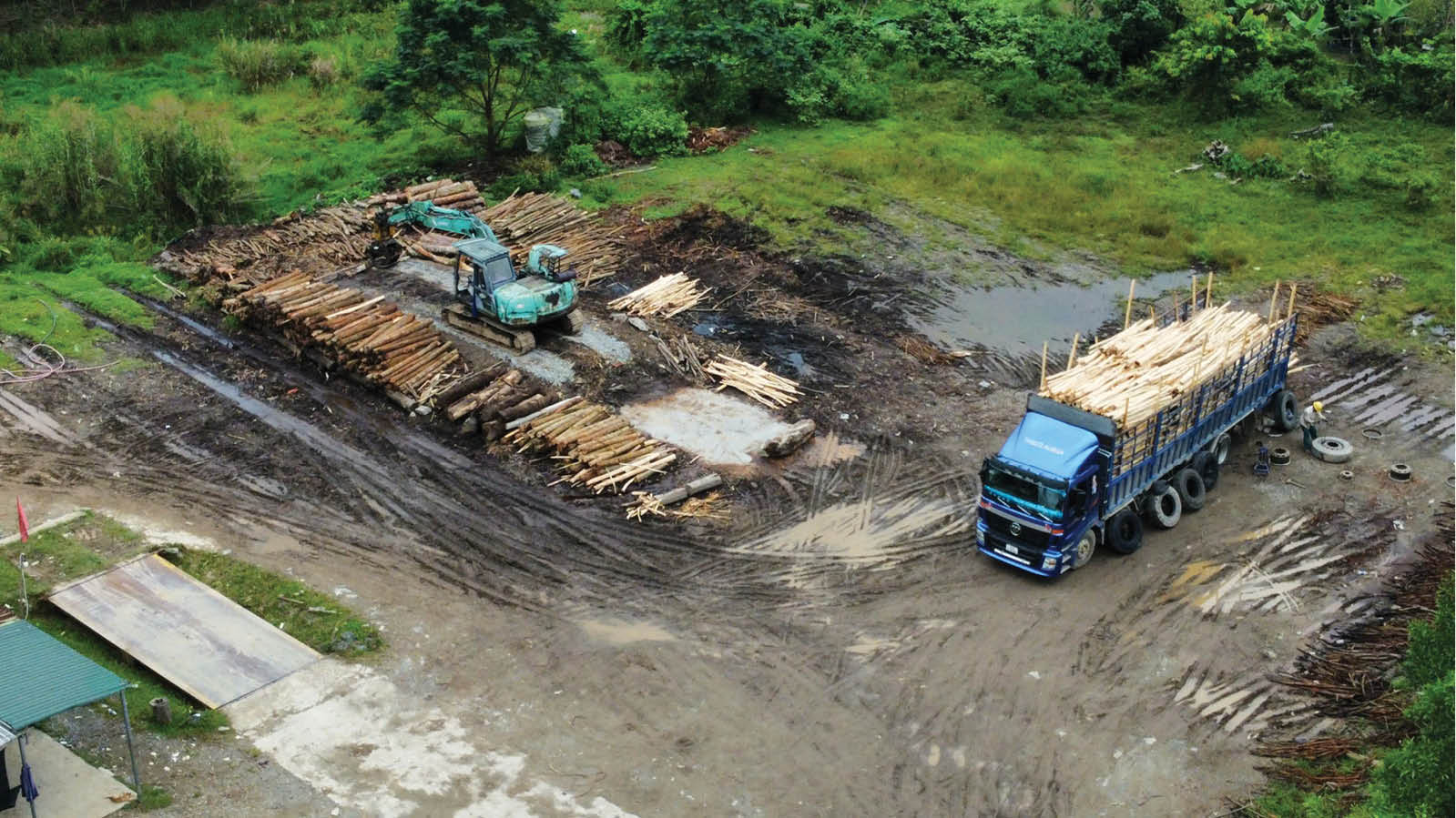 Buông lỏng quản lý hoạt động cơ sở thu mua gỗ keo tràm - Bài 1 Trạm cân không phép vẫn ngang nhiên hoạt động