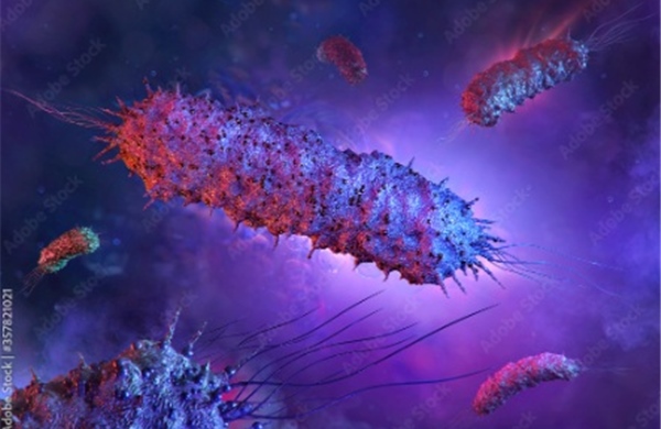 Miếng dán virus tiêu diệt 99 9 vi khuẩn trong thực phẩm