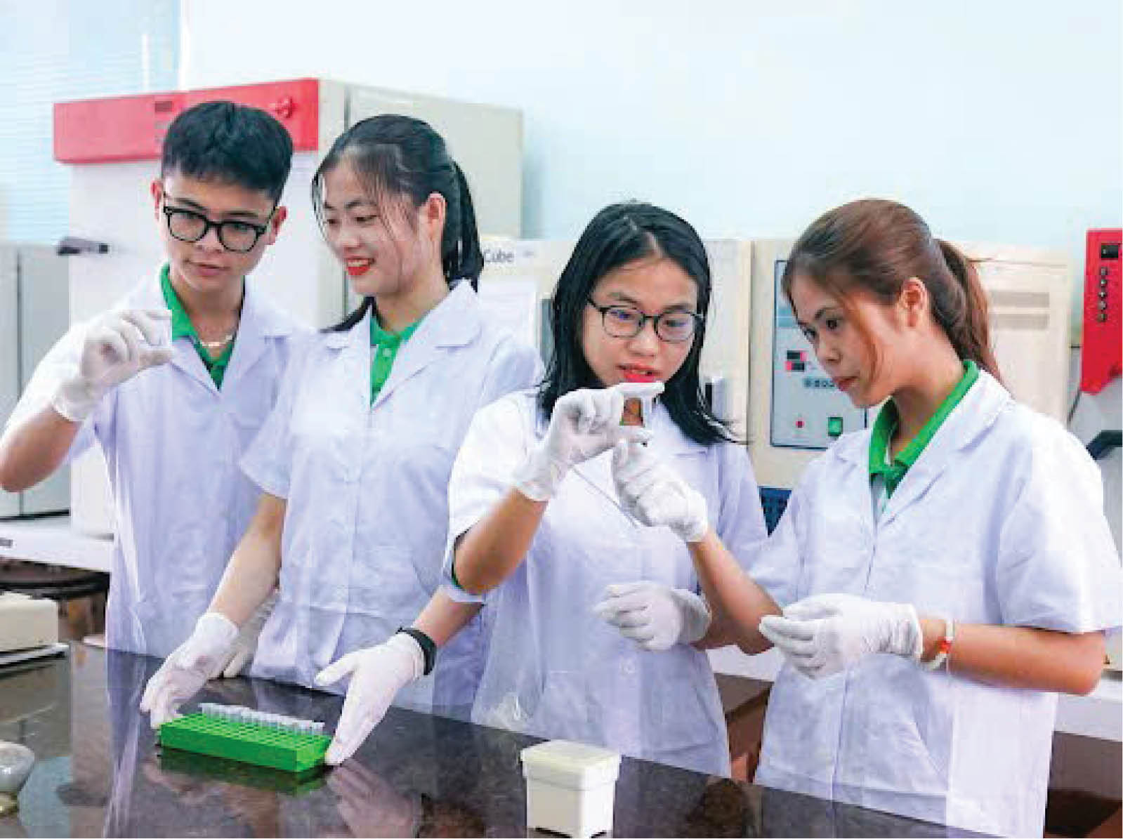 Đại học Huế - Hành trình vươn tầm châu lục