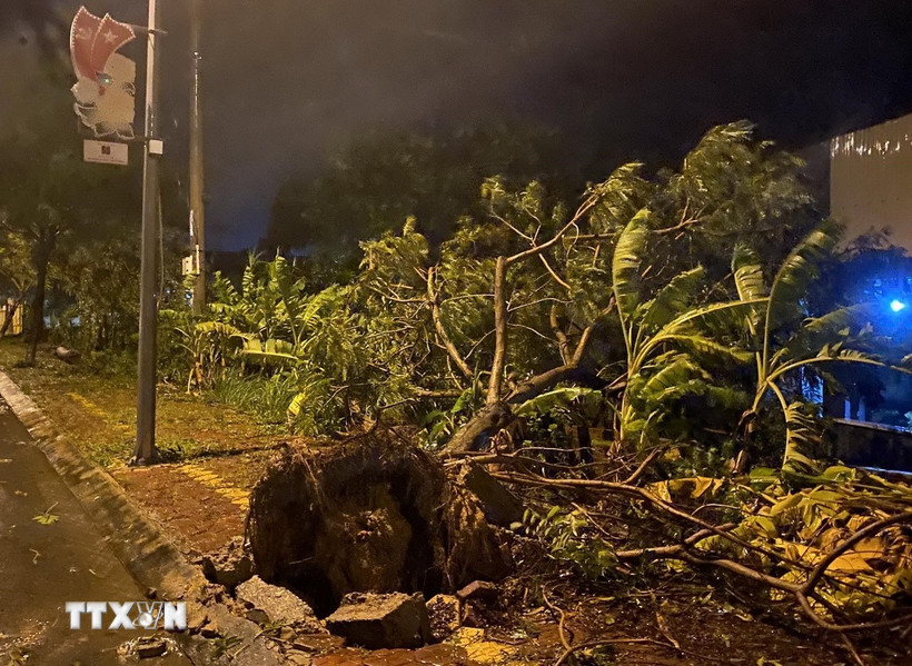 Tin cuối cùng về cơn bão số 13, mưa lớn từ Thanh Hóa đến Đà Nẵng